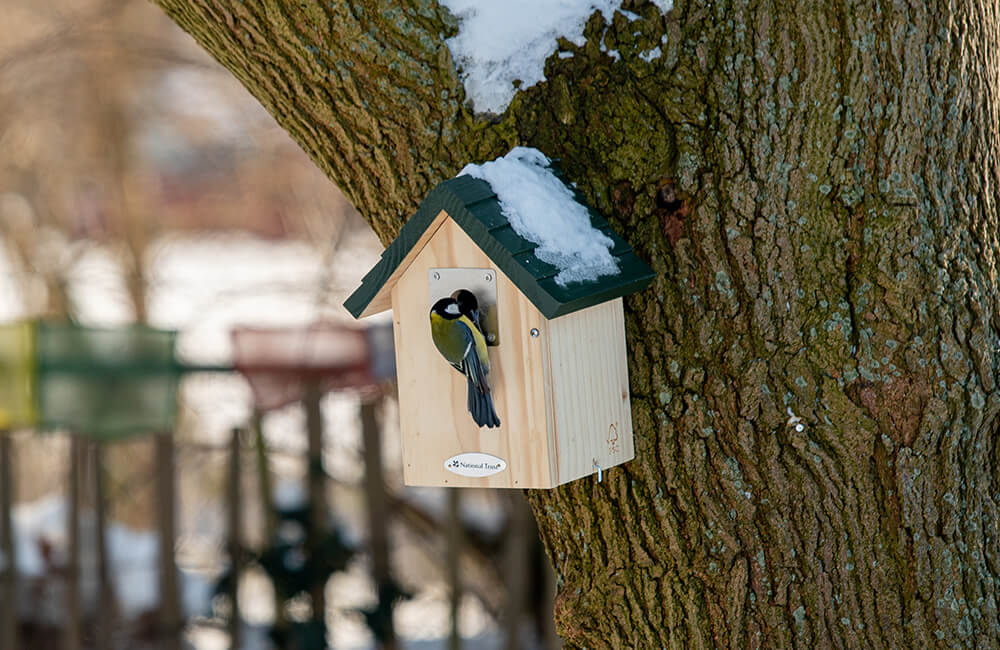 Ein Nistkasten mit Schnee auf dem Dach im Winter