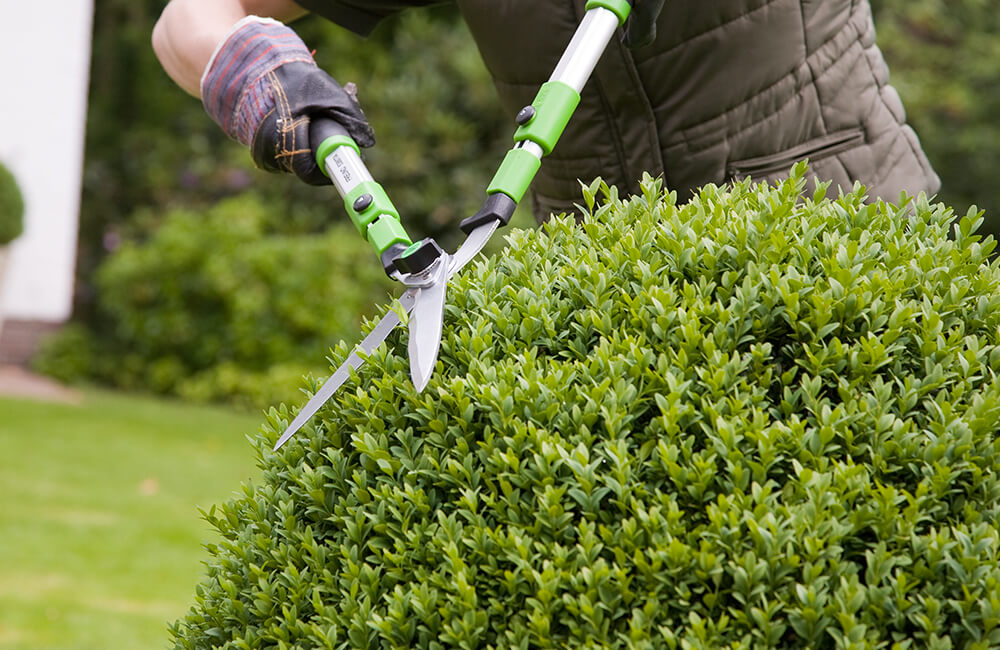 Eine Person schneidet eine Hecke mit einer Heckenschere