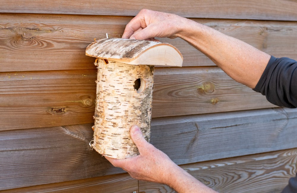 Birken-Nistkasten, der an einer Holzwand montiert wird.