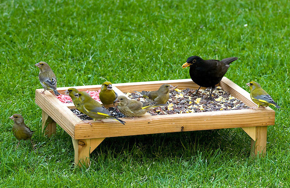 Ein Futtertisch aus Holz, der bei Bodenfressern, wie dem Rotkehlchen oder der Amsel, sehr beliebt ist.