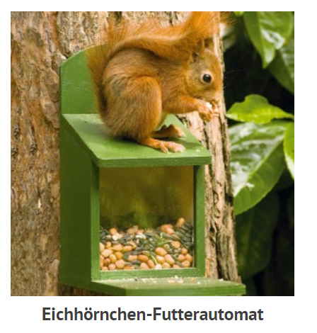 Eichhörnchen-Futterautomat
