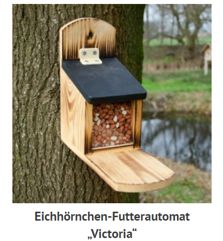 Eichhörnchen-Futterautomat 