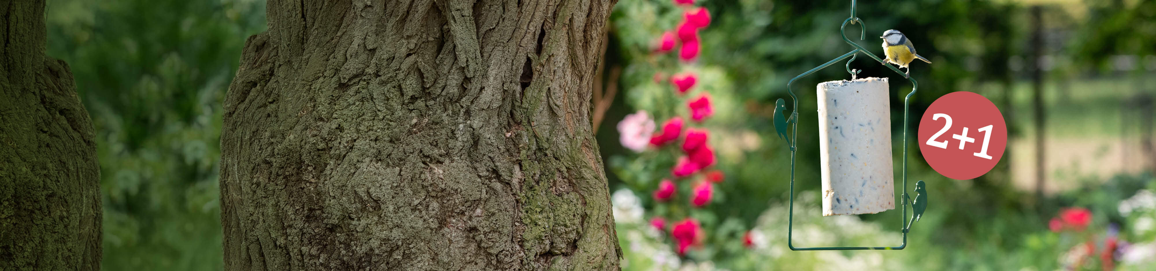 Vogelfutter: 2 plus 1 GRATIS!
