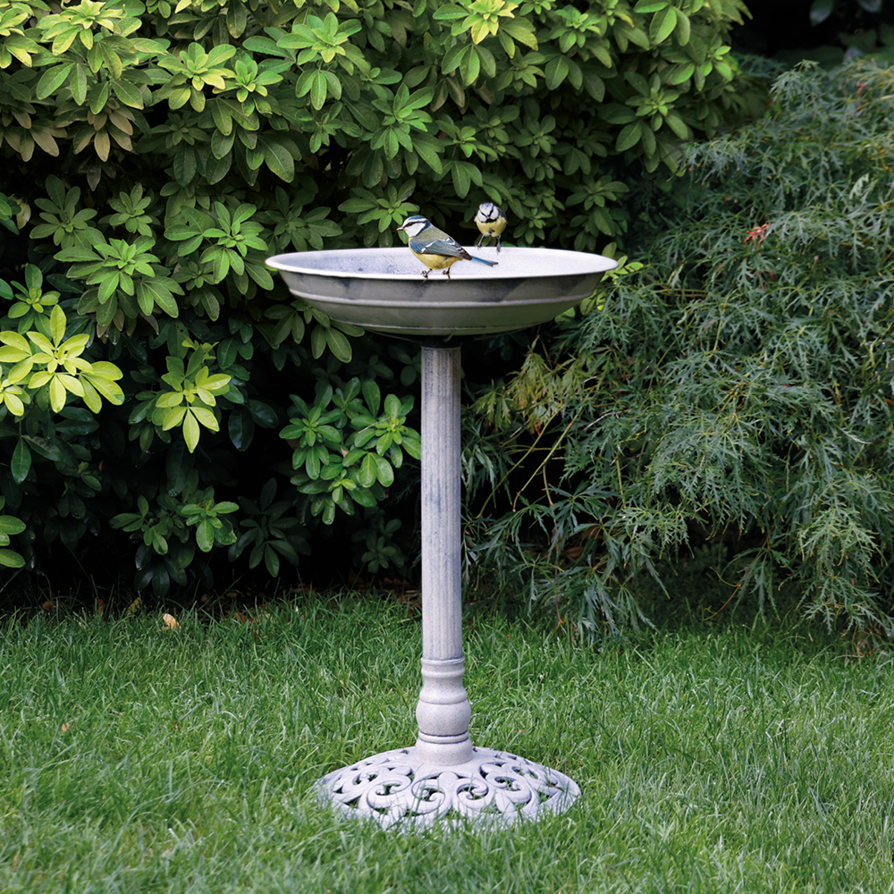 Ein Igel frisst Vivara-Igelfutter