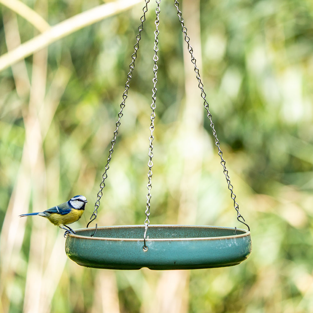 Infographic about different types of nest boxes