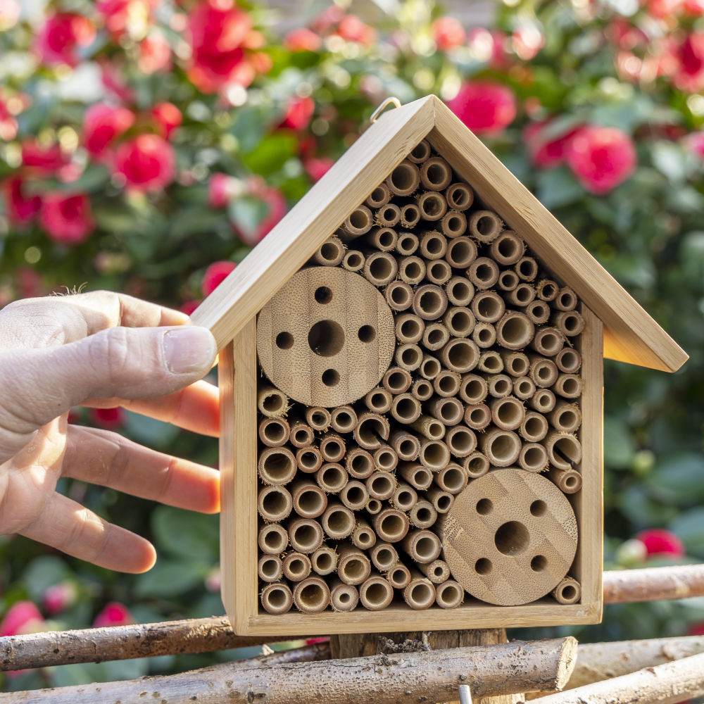 Child smiles while presenting the assembled nest box building kit
