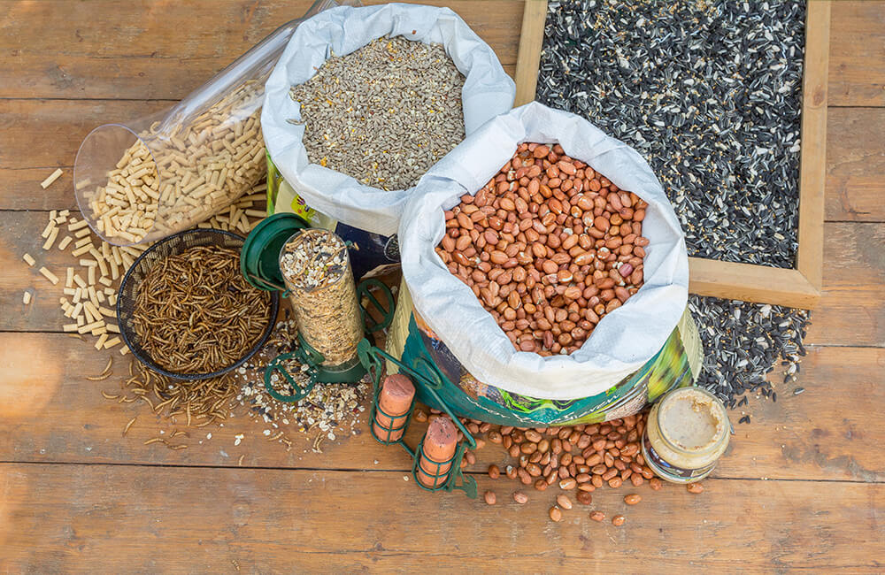 Eine Auswahl an Vogelfutter, darunter Erdnüsse, Sonnenblumenherzen, Mehlwürmer und Samenmischungen.