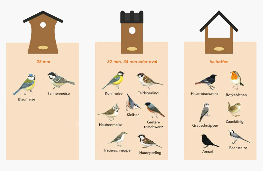 Infografik &uuml;ber die Unterschiede von Vogelh&auml;usern und welcher Vogel welche Einflugg&ouml;ffnung bevorzugt.