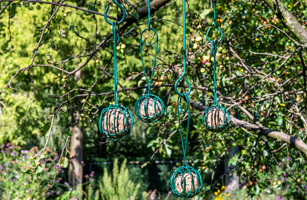 4 St&uuml;ck unseres Meisenkn&ouml;del-Halters Lima an einem Baum aufgeh&auml;ngt.