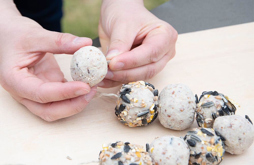 Erdnussbutter-Futtermasse von Vivara, die zu Meisenkn&ouml;deln geformt wird.