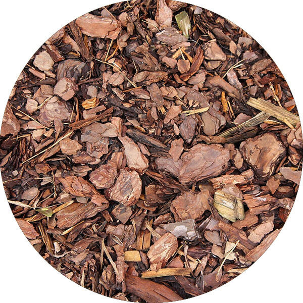 Getrocknete Baumrinde auf dem Boden.