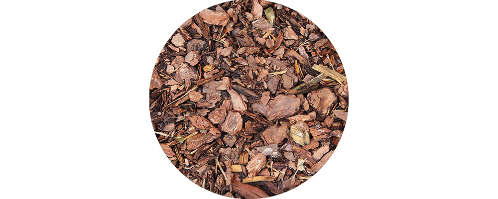 Getrocknete Baumrinde auf dem Boden.