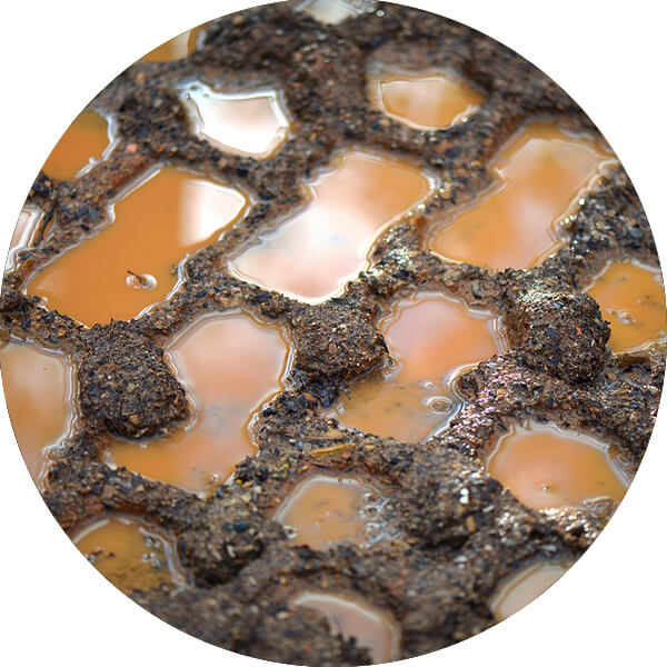 Eine Schlammpf&uuml;tze.