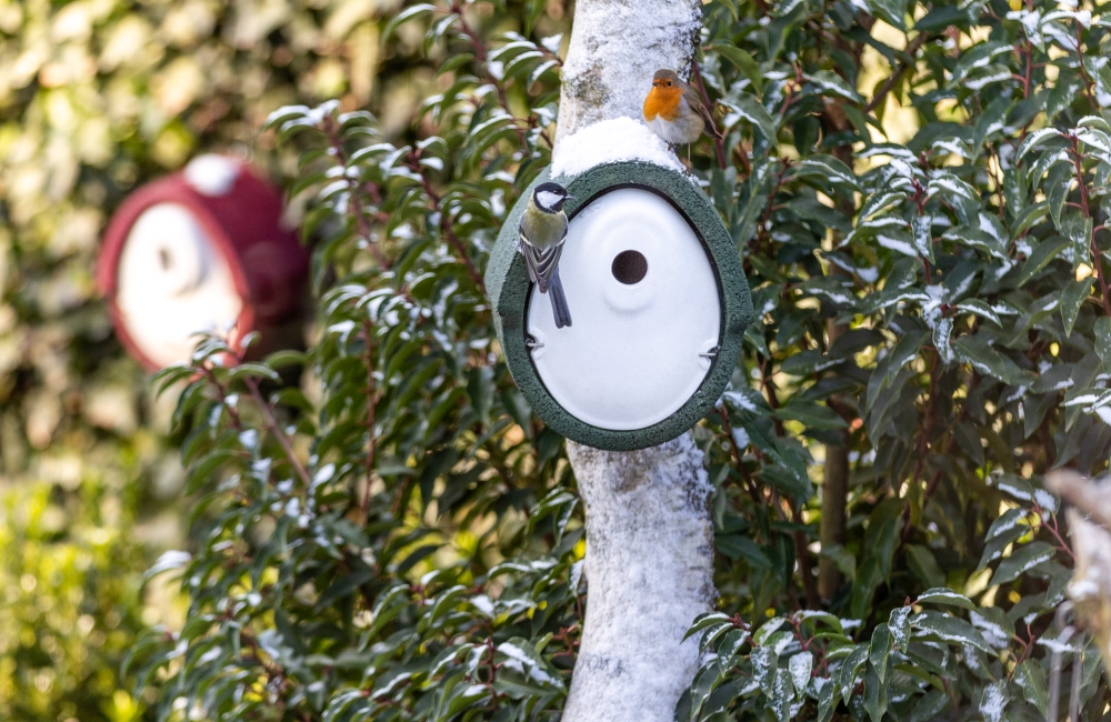 Rotkehlchen und Kohlmeise an einem Holzbeton-Nistkasten
